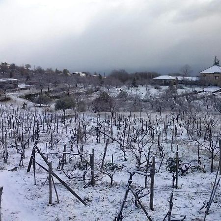 Villa Etna Masi' Мило Экстерьер фото
