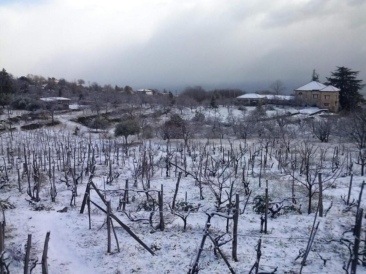 Villa Etna Masi' Мило Экстерьер фото