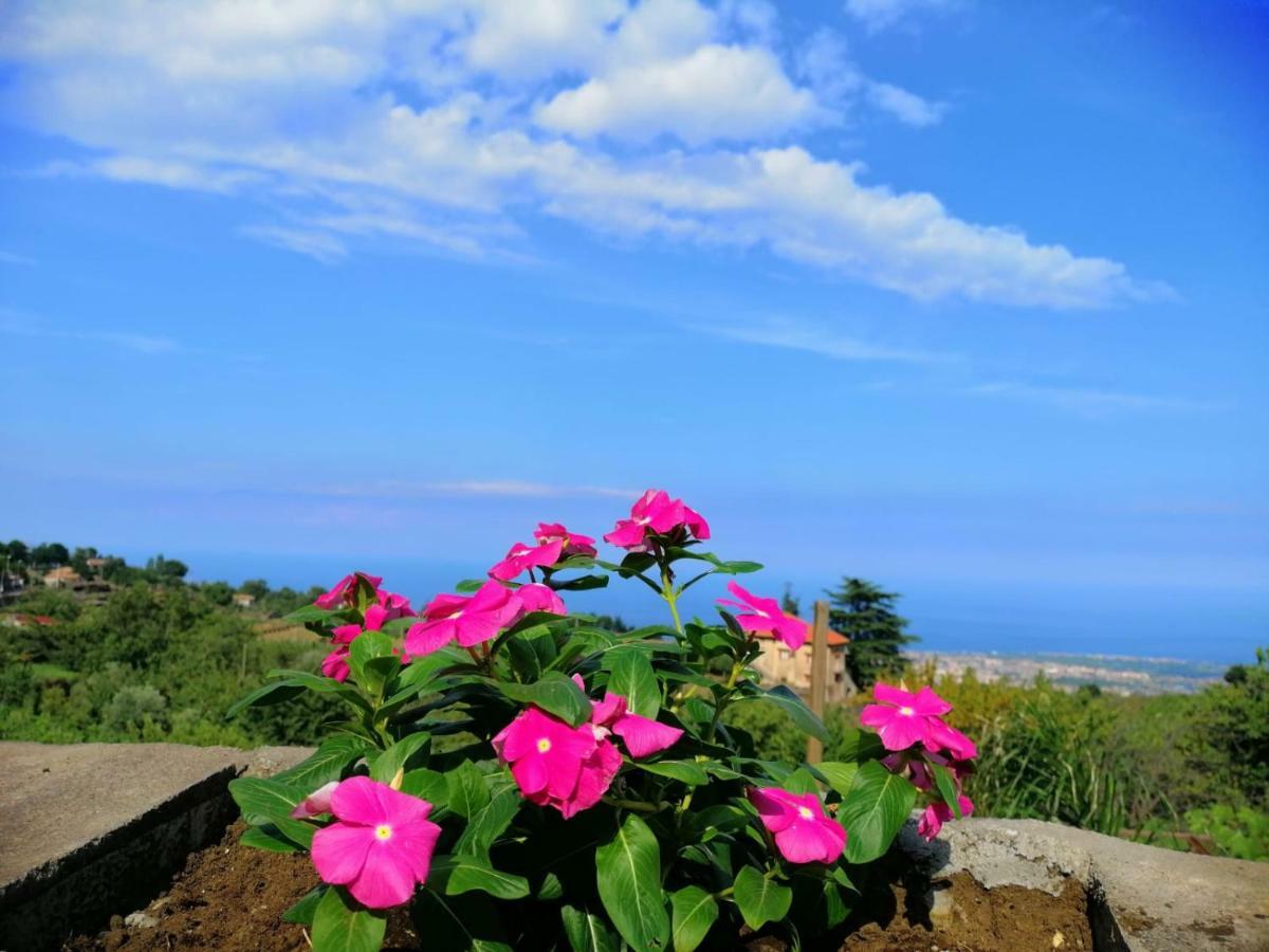 Villa Etna Masi' Мило Экстерьер фото